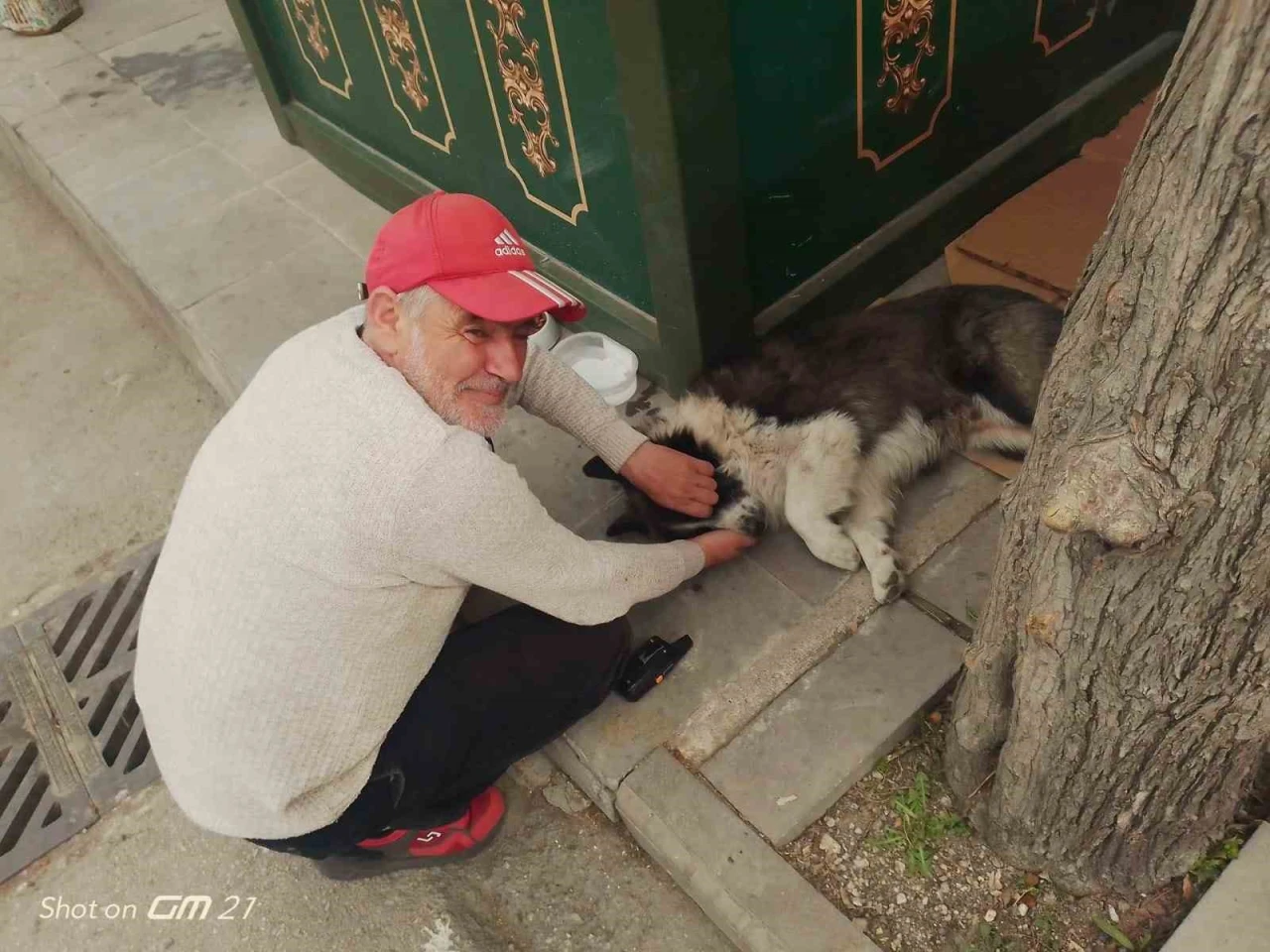 Taksi durağında sahiplendiği köpeğe çocuğu gibi bakıyor