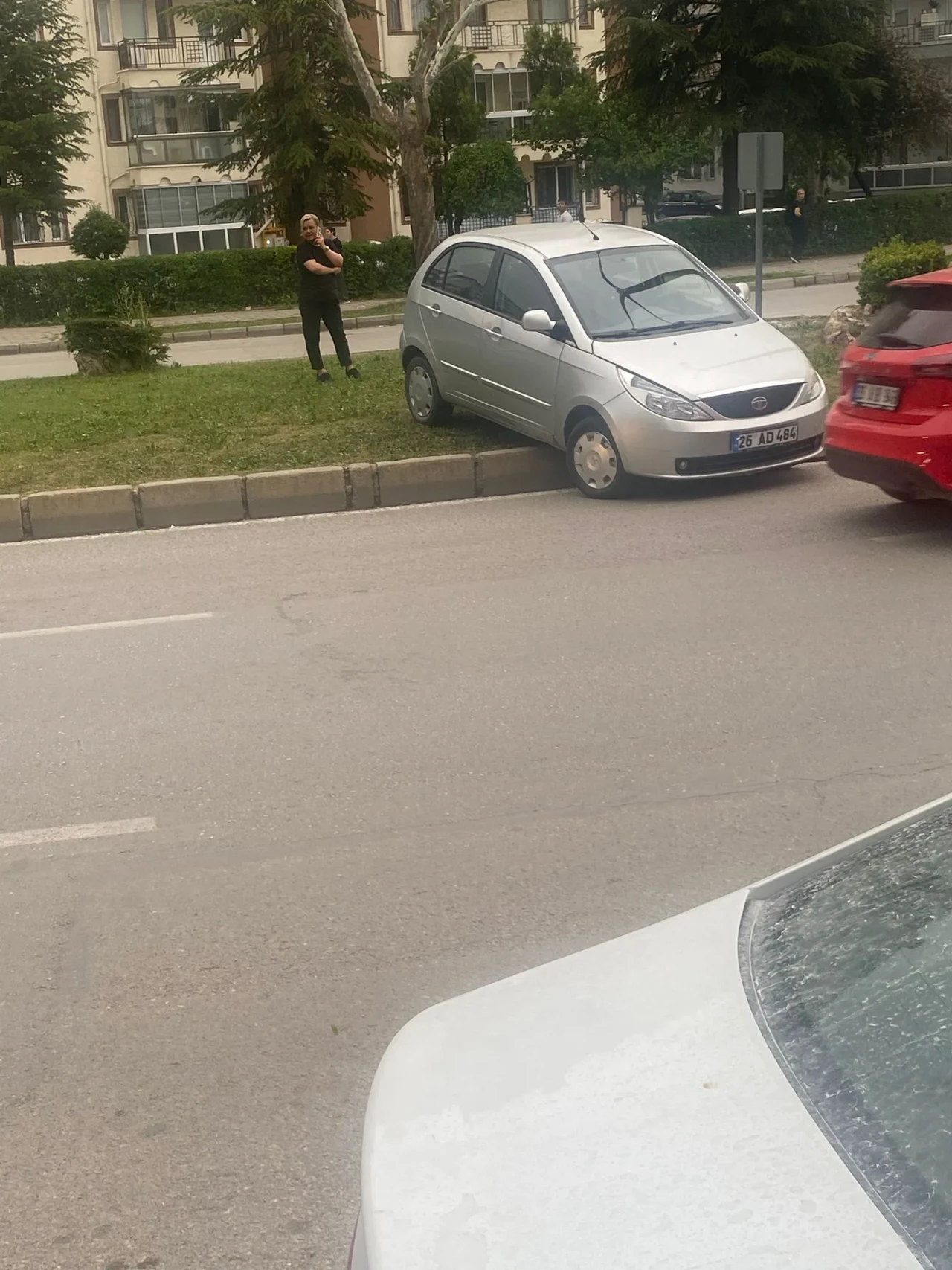 Park Halindeki Otomobil Geri Geri Giderek Reflüje Çıktı