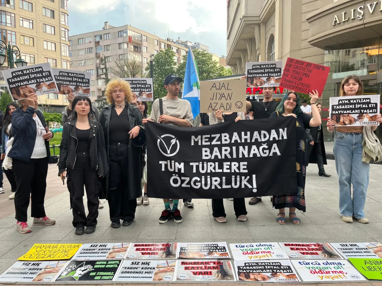 VeganEsk:“AYM bu katliam yasasını hemen iptal etmeli”