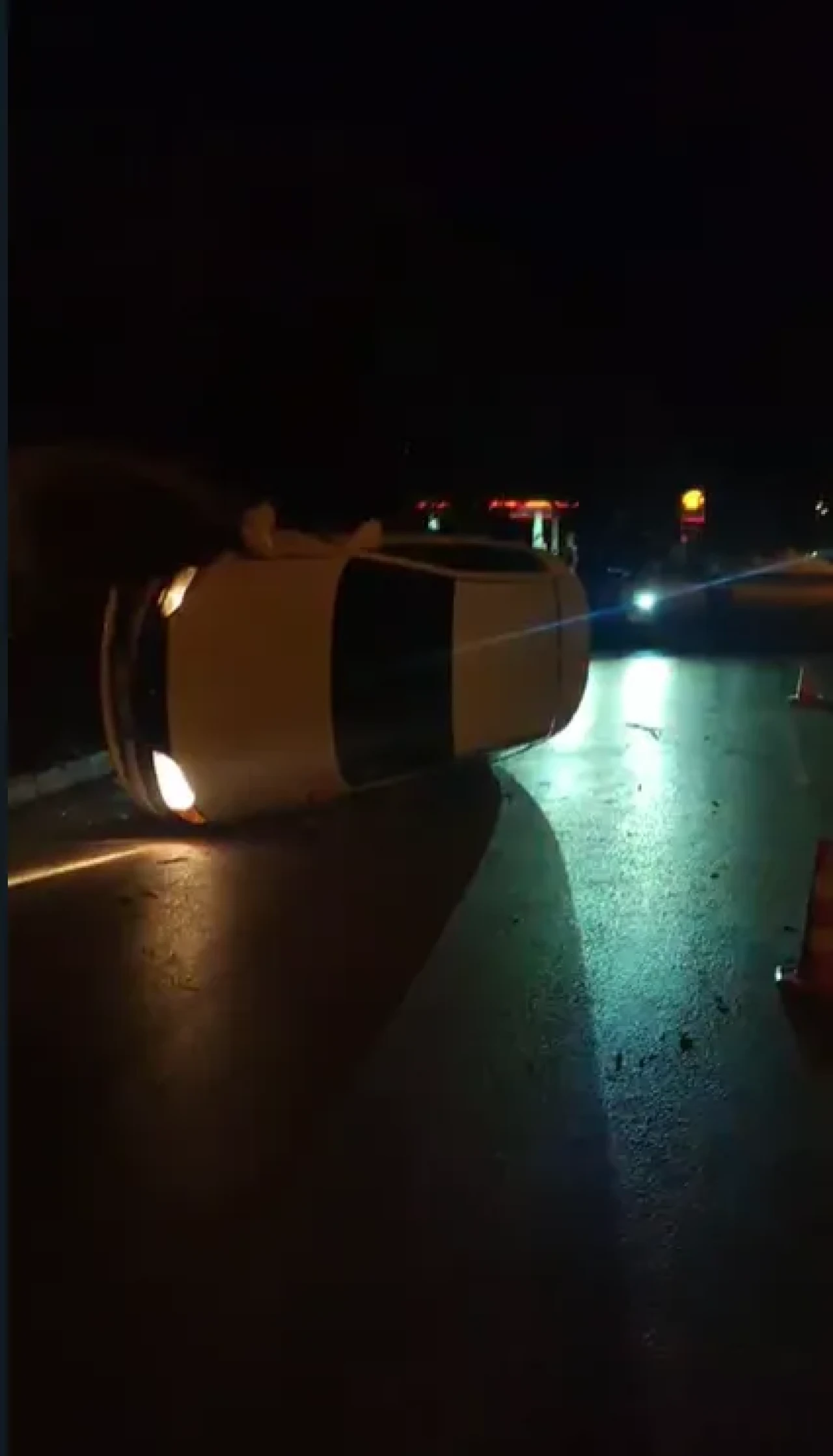Refüje Çıktı, Ağaca Çarptı, Kaçtı!