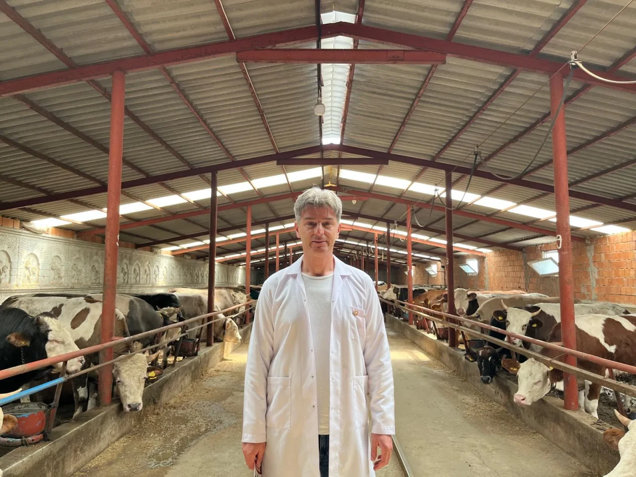 Veteriner Hekimler Odası Başkanı uyardı: “Kurbanlık seçerken bu belirtilere dikkat edin”