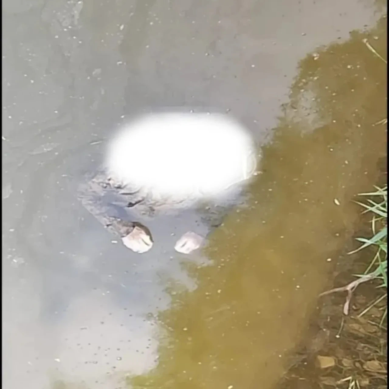Porsuk Çayı’nda Erkek Cesedi Bulundu