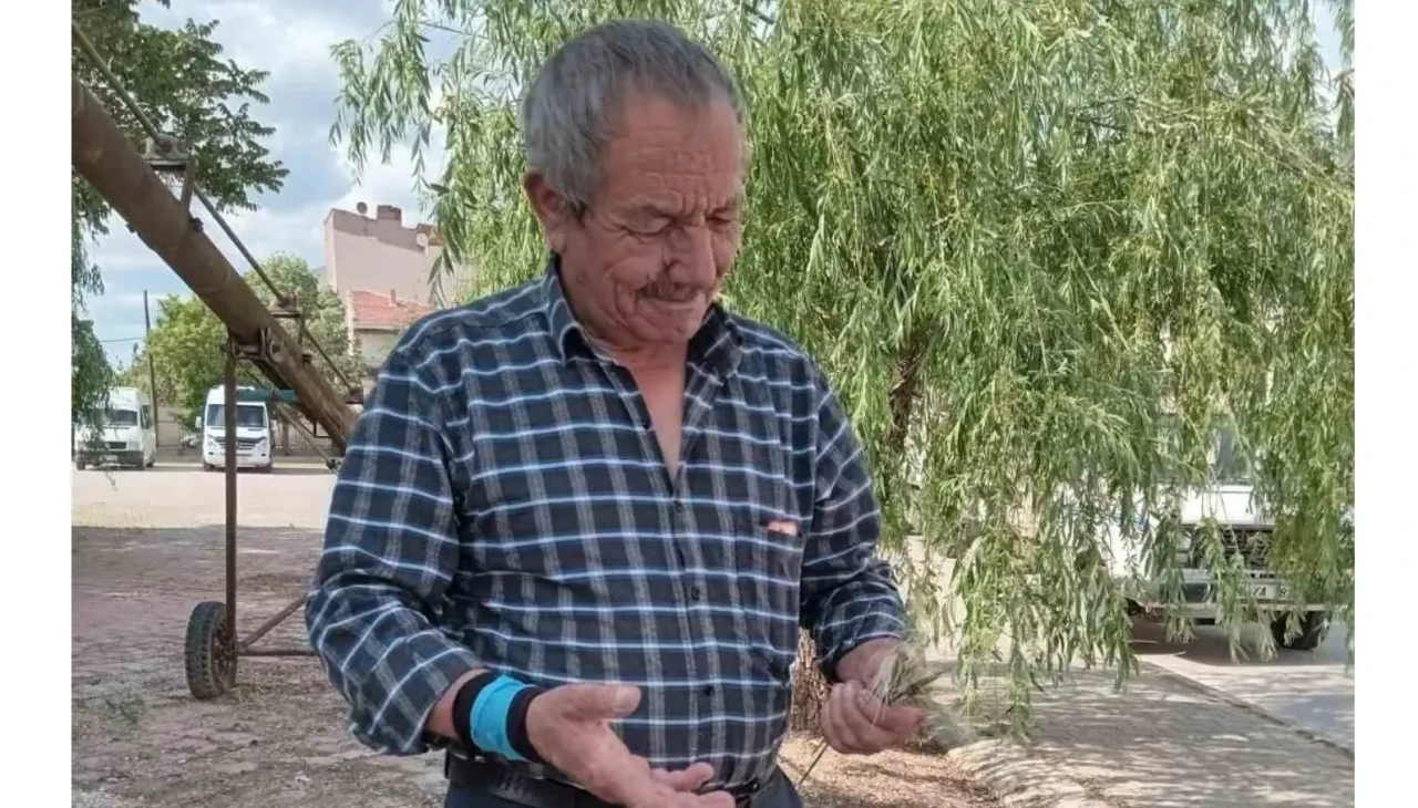 Eskişehir’de zirai don, buğday ve arpa üretimini vurdu