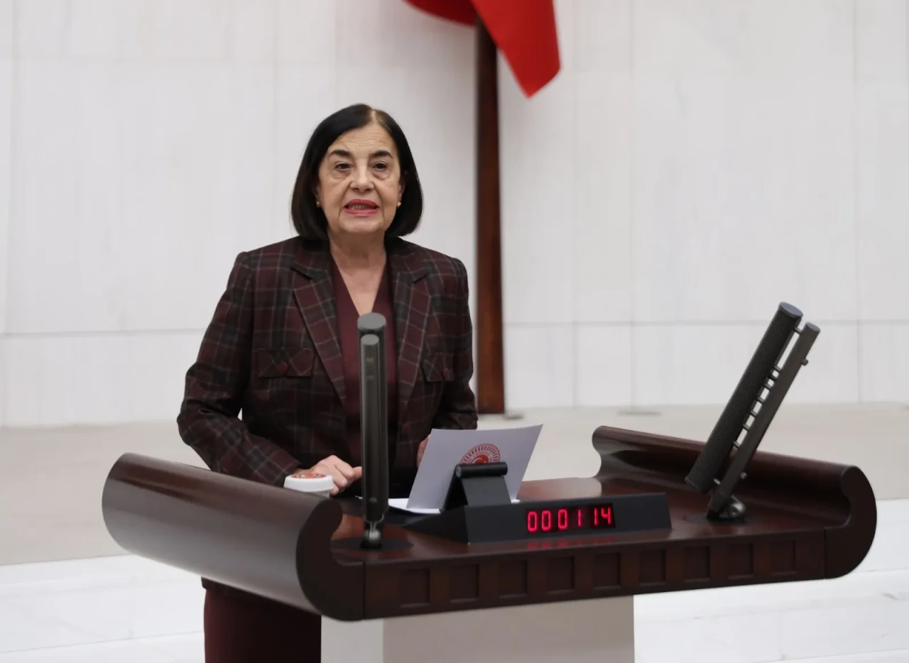 CHP'li Süllü: "İklim kanunu teklifini anlamak istiyorsan Alpu Ovası’na bak!"