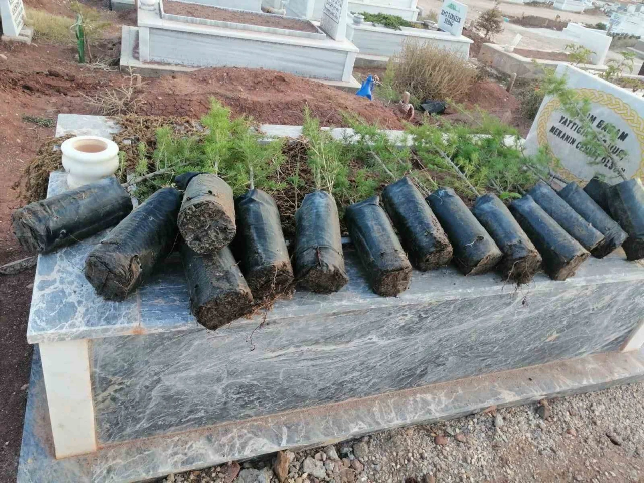Eskişehir'de Anneler Günü’nde mezarlıkları yeşillendirdiler