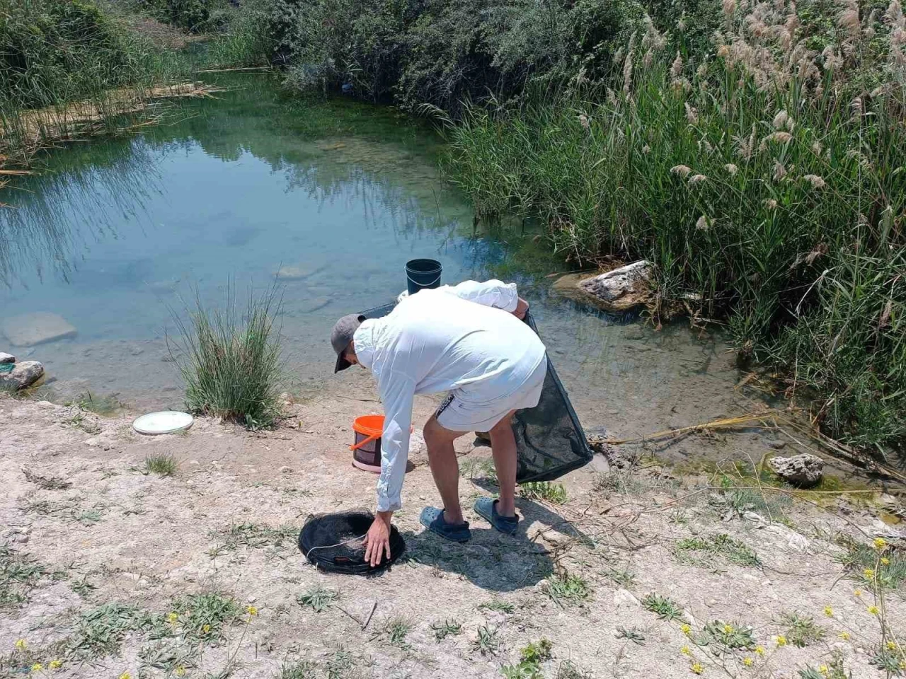 Tarihi hamam kalıntıları arasındaki süs balıklarını kaçak balık avlayanlara suç üstü