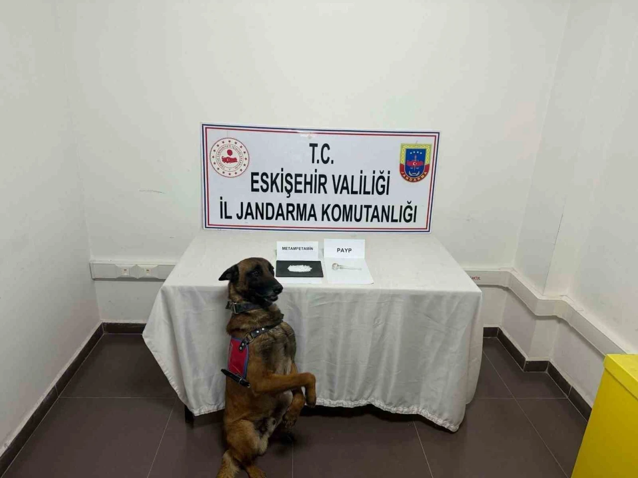 Eskişehir'de yasaklı madde taşıyan şahıs yakalandı