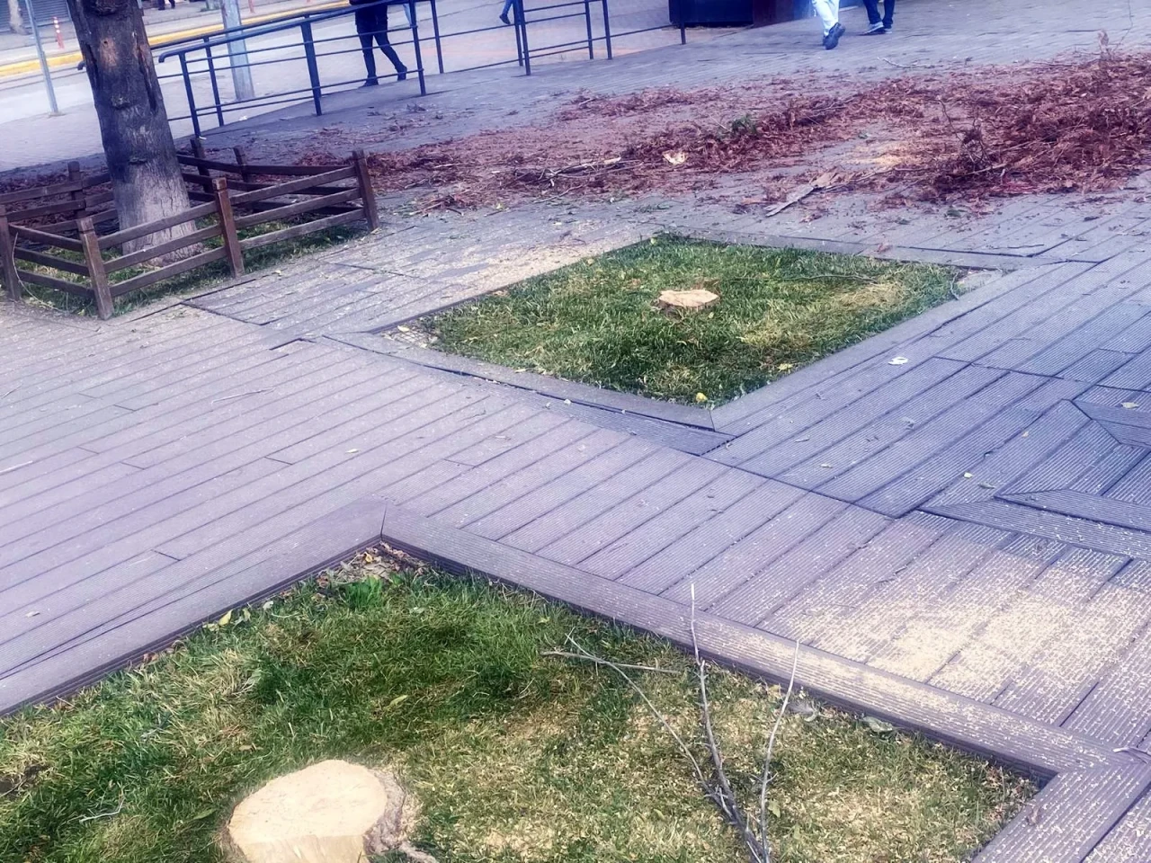Başkan Vural’dan Hamamyolu’ndaki Ağaç Kesimine Sert Tepki