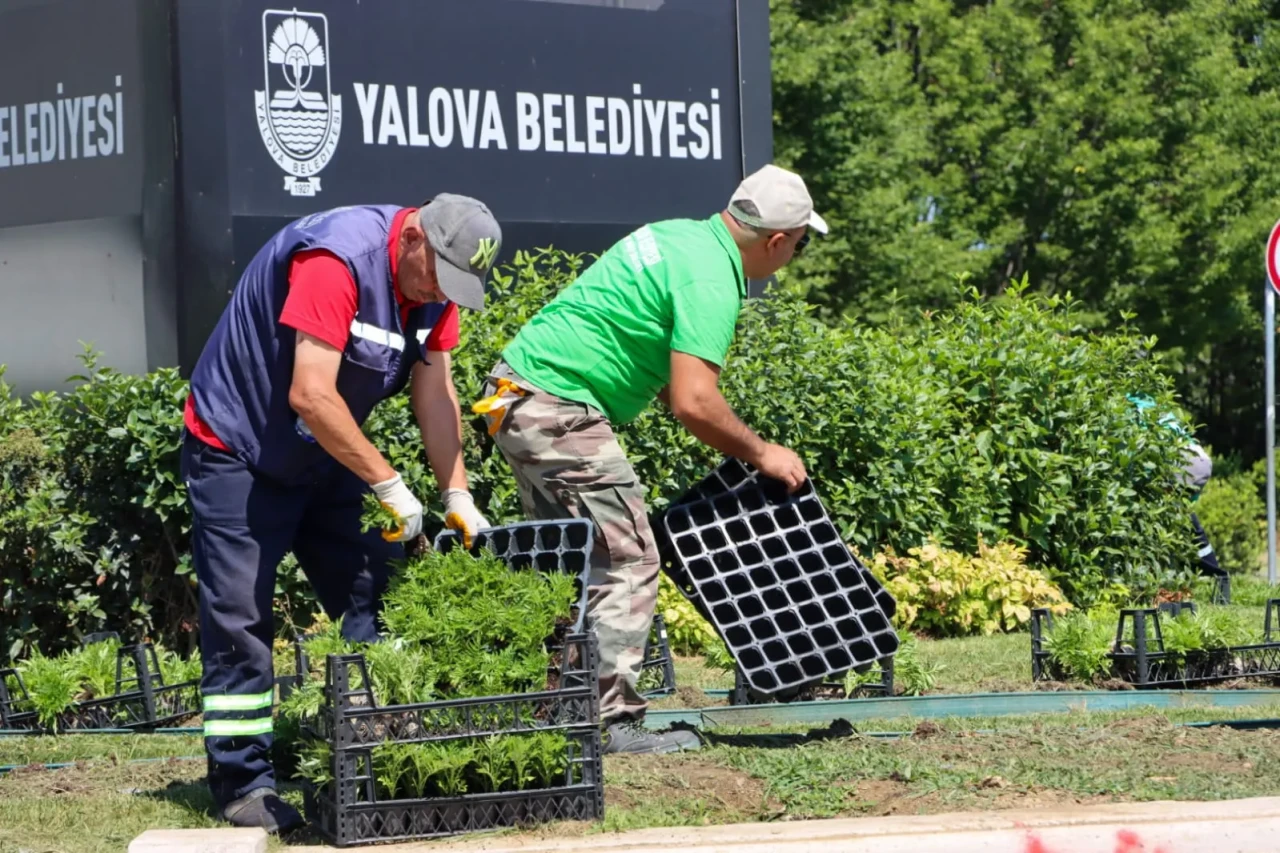 Yalova Belediyesi’nden Kent Estetiğine Renkli Dokunuş
