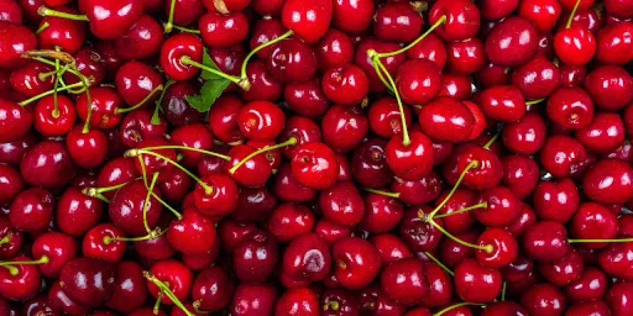 Kiraz El Yakıyor! Eskişehir'de Pazarcı Tadım Yasağı Getirdi