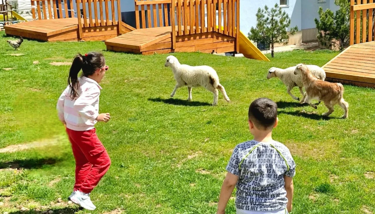 Eskişehir’de Lamia Dayanç Anaokulu’ndan Ezber Bozan Uygulama: Bahçede Kuzularla Eğitim