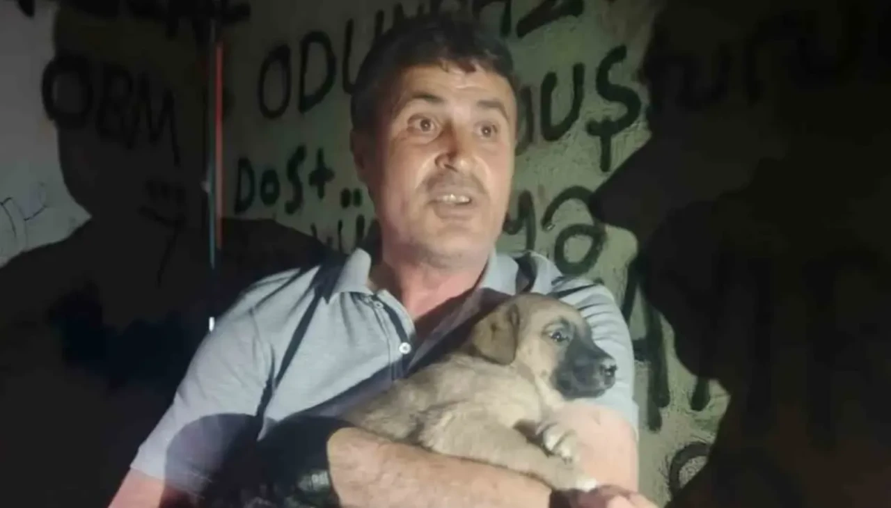 Eskişehir'de trafoda mahsur kalan köpek, hayvanseverler ve OEDAŞ sayesinde kurtarıldı