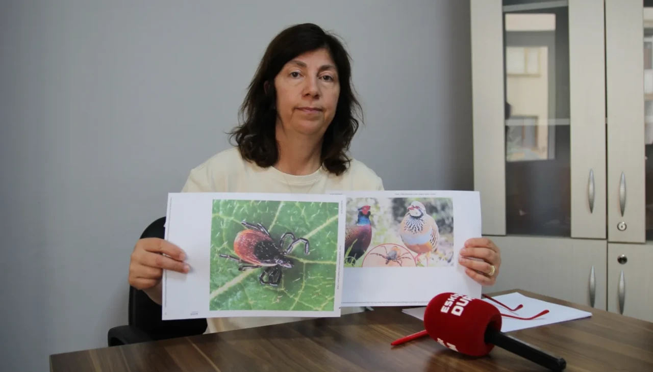 Ziraat Mühendisleri Odası’ndan kene uyarısı: Eskişehir'de risk yüksek!