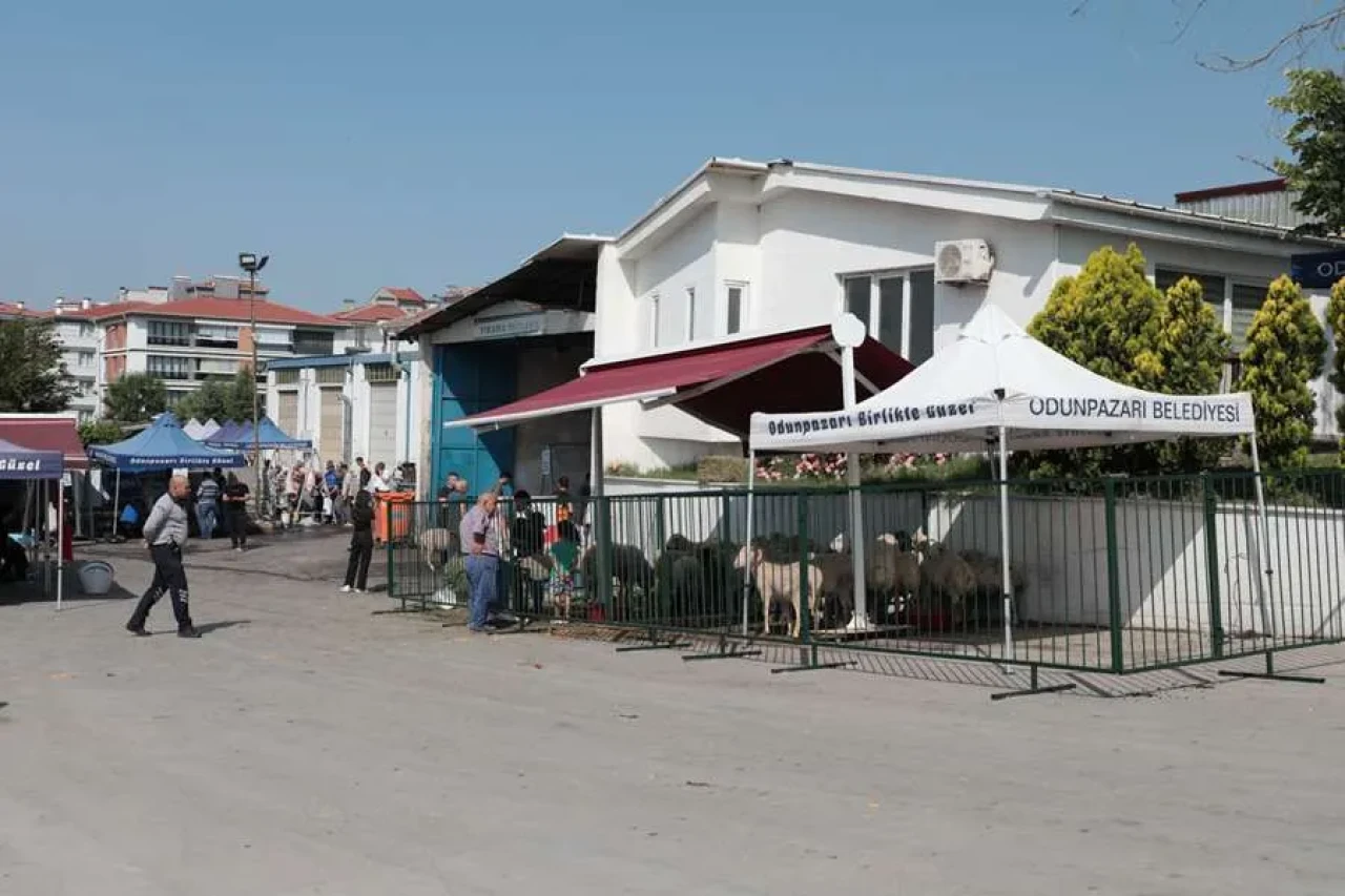 Kurban Derileri Ziyan Oldu, Belediyenin Hizmeti Takdir Topladı