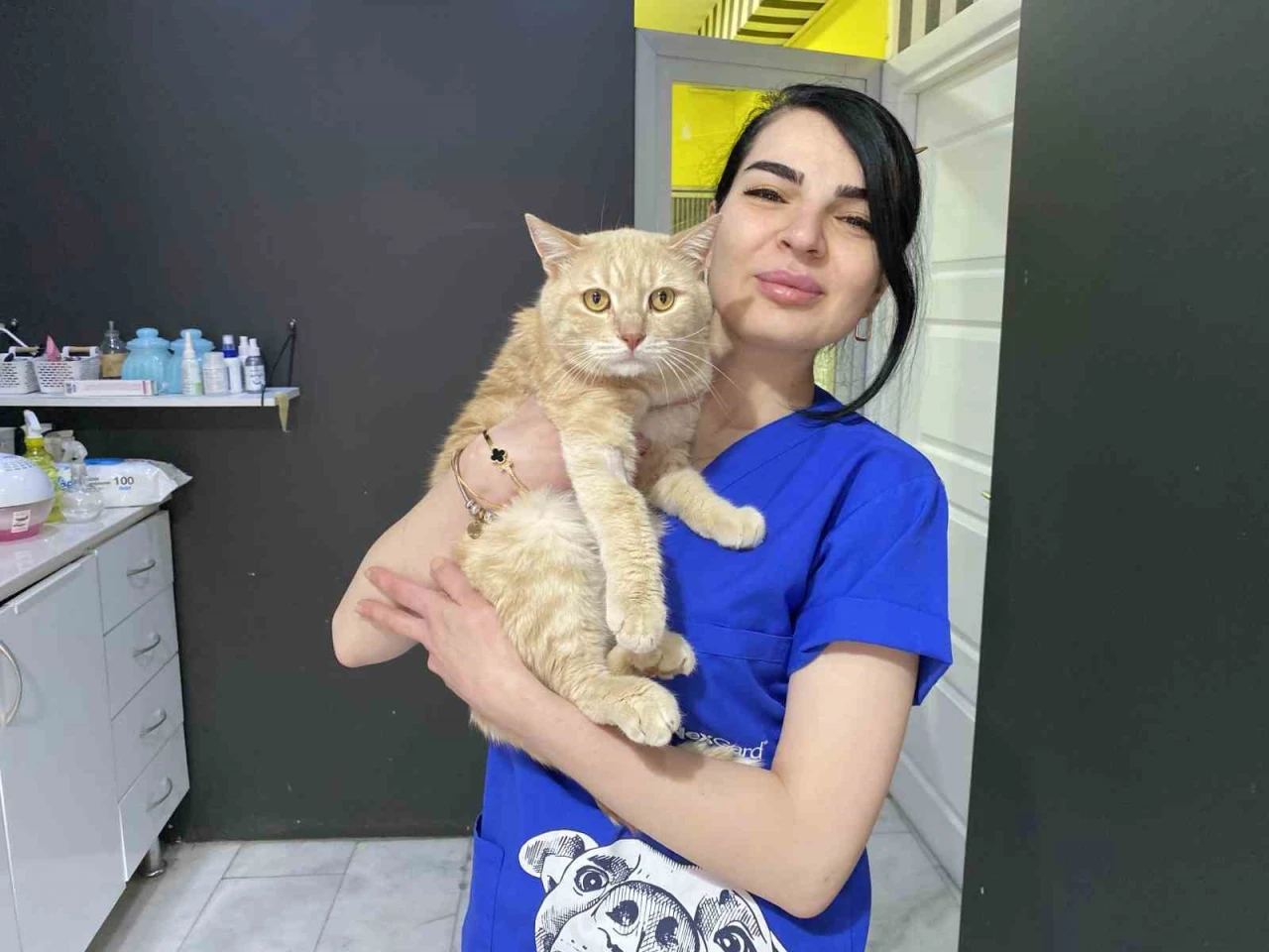 Bayramda evcil hayvan ile seyahat edecek yolcuların dikkat etmesi gerekenler