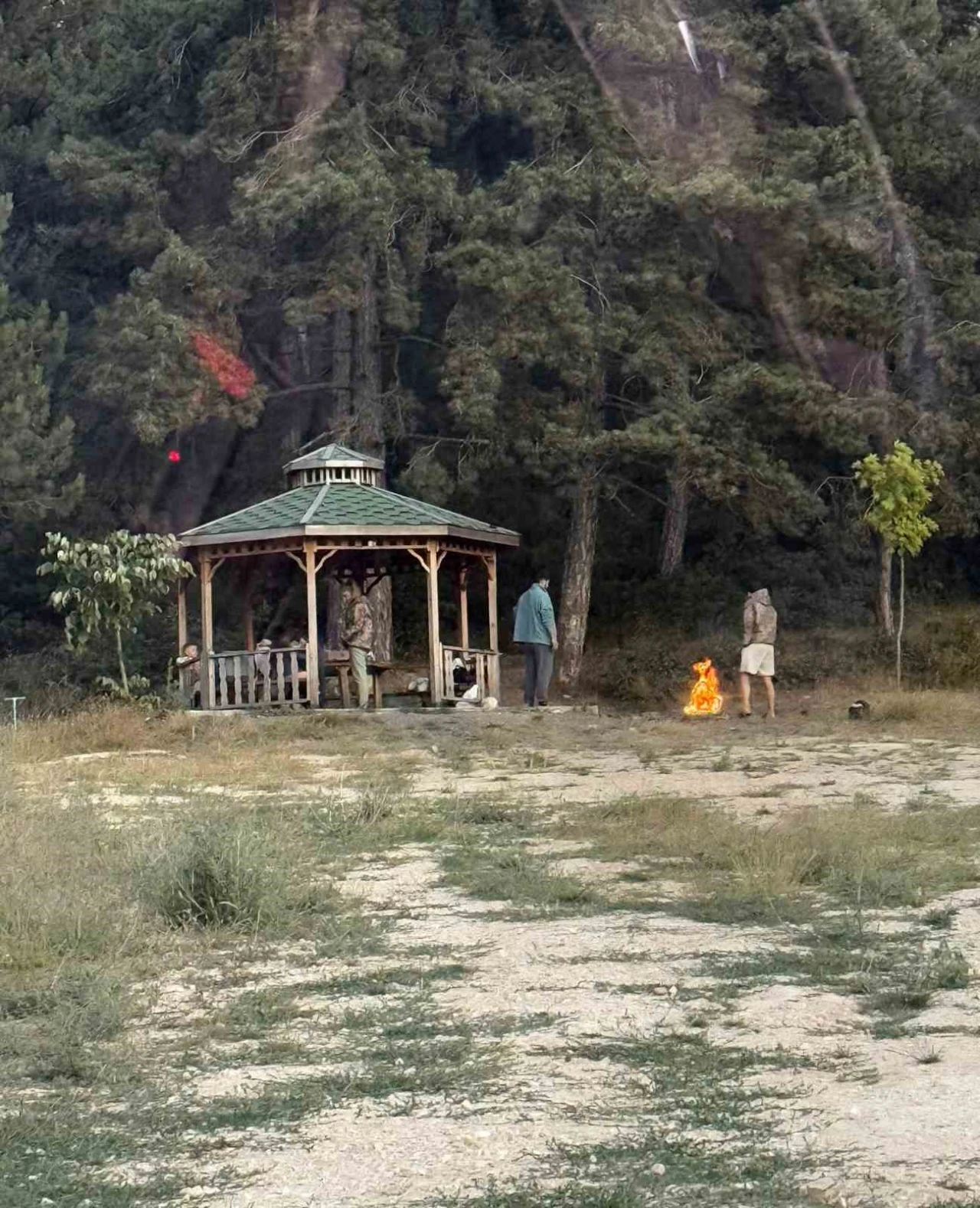 Yangın felaketi daha yeni sönerken Gölpark’ta çam altında ateş yaktılar: ’Pes’ dedirten görüntü