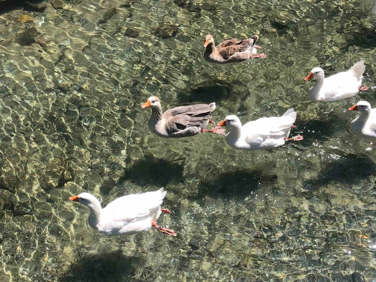 Porsuk’tan Beslenen Kanal, THK Eğitim Merkezine Can Katıyor
