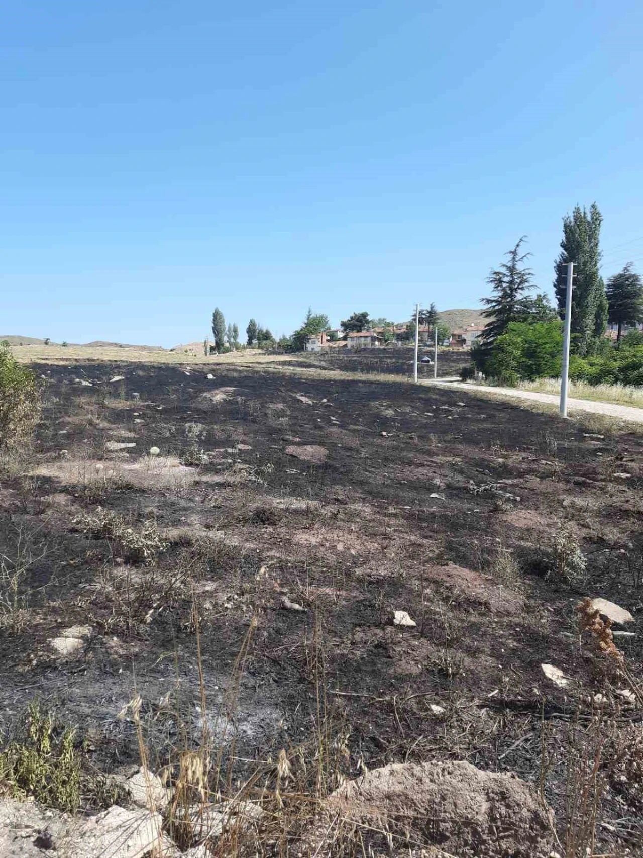 Eskişehir'de torpilden çıkan yangında 15 dönümlük arazi kül oldu
