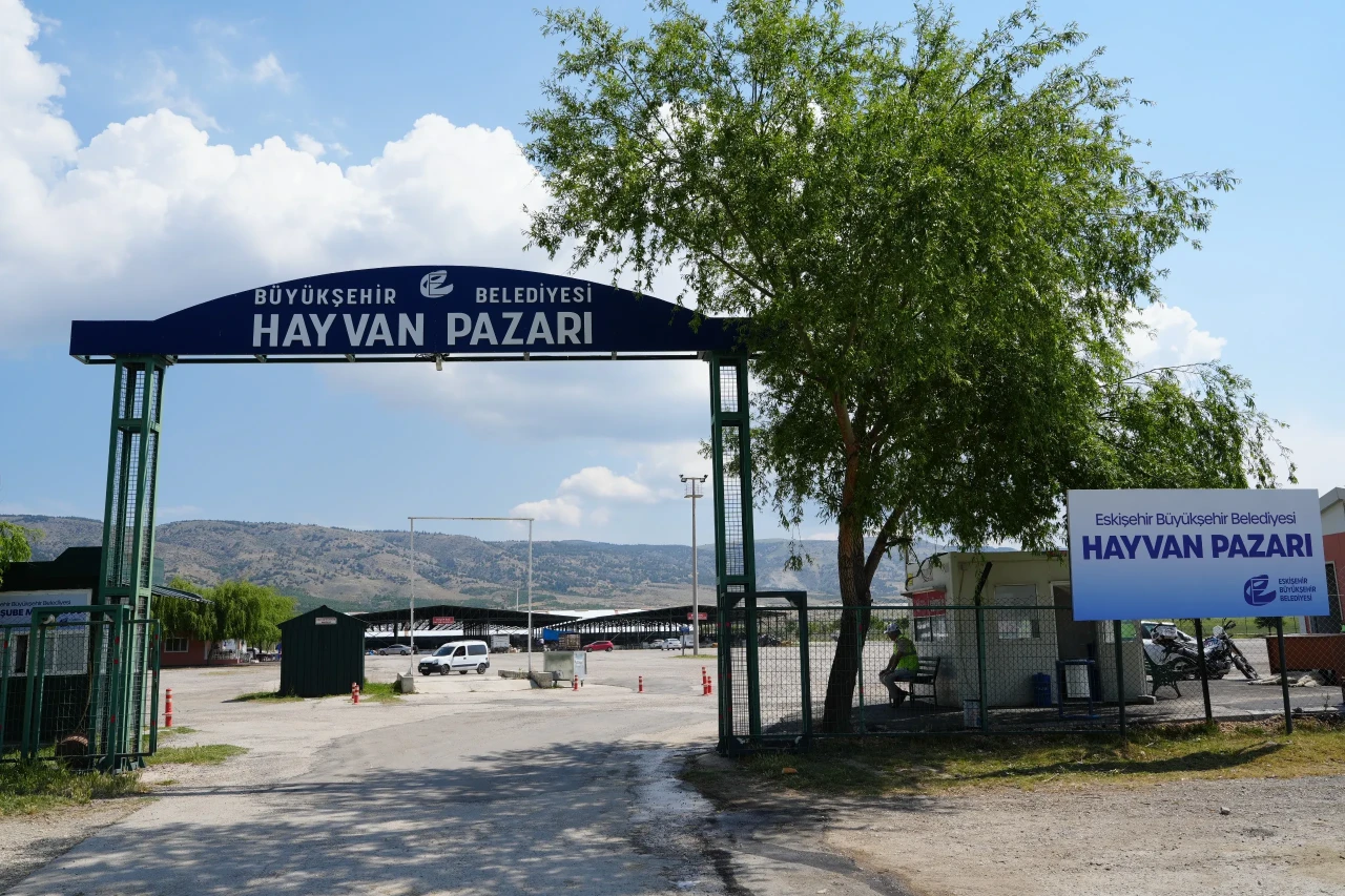 Şap Alarmı! Türkiye Genelinde Hayvan Pazarları İkinci Bir Emre Kadar Kapatıldı