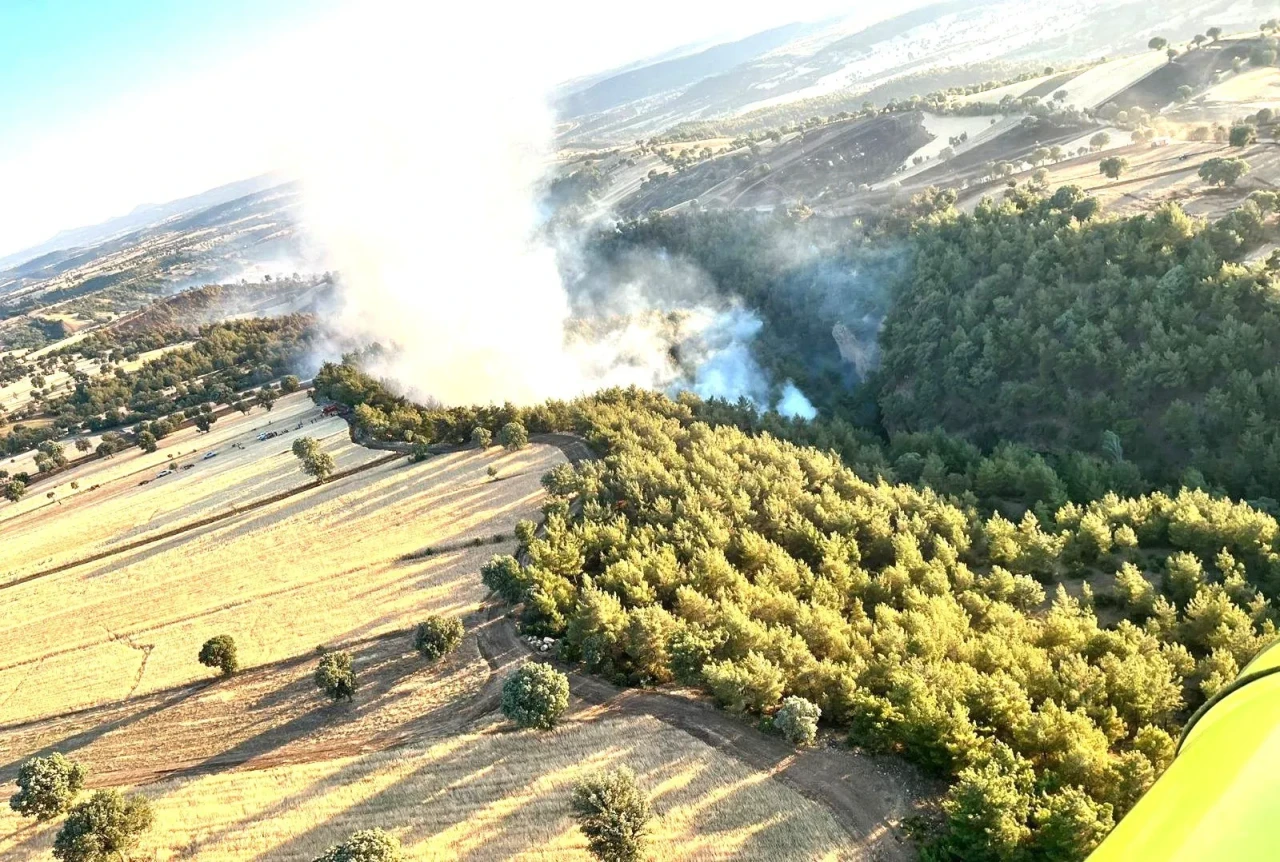 Kütahya'daki Yangında 60 Hektar Orman ve 50 Hektar Ziraat Alanı Zarar Gördü