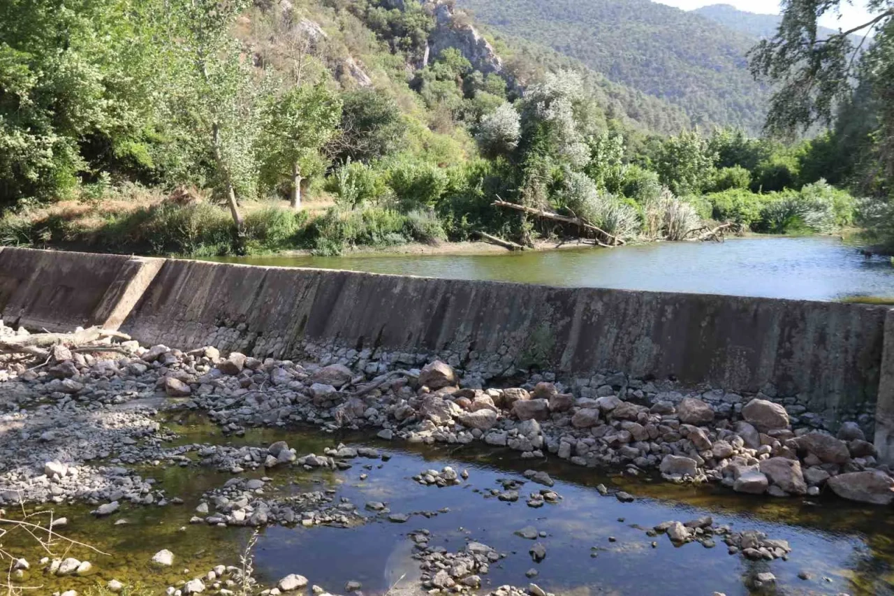 Kuraklık ve Yangınlar Düzmeşe Benti’ni Kuruttu