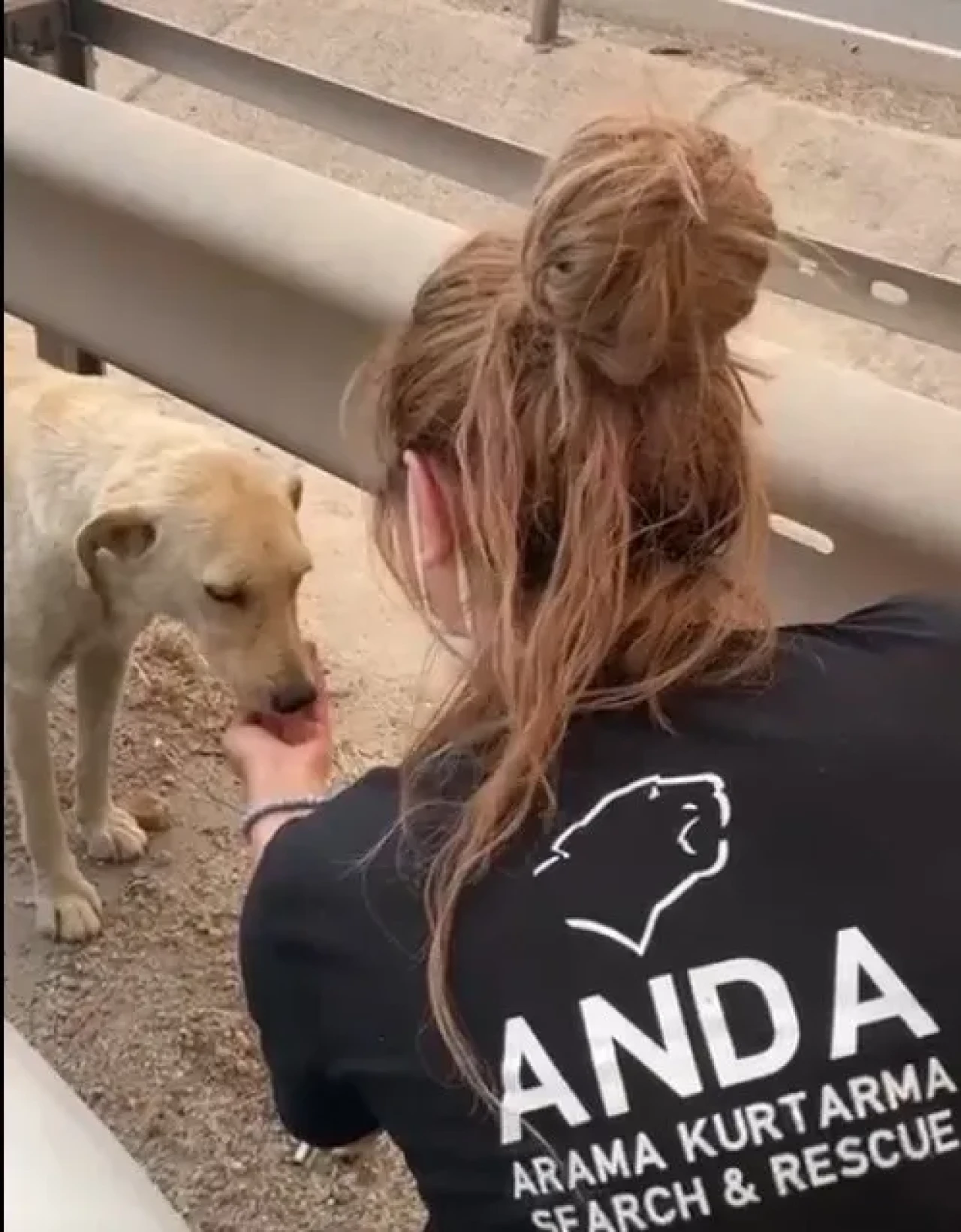 Yangından Kaçan Canlara Merhamet Eli