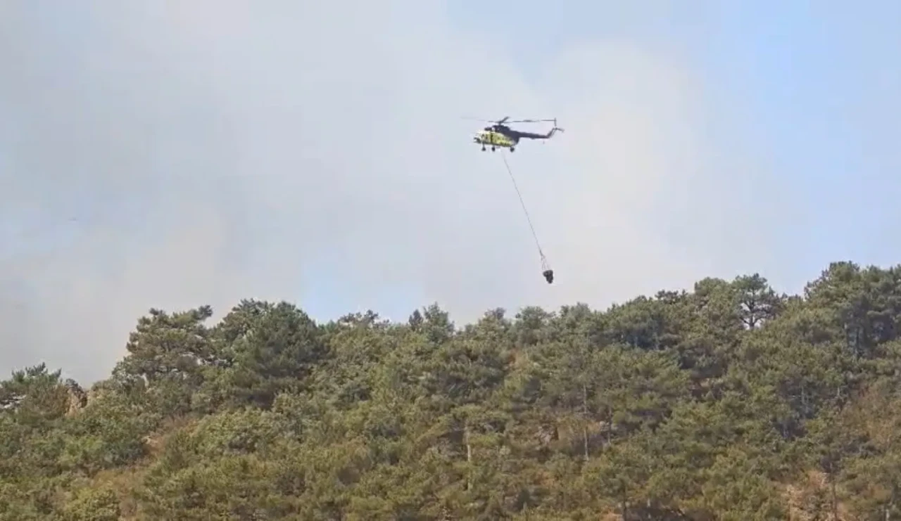 Seyitgazi’de Orman Yangınına Havadan ve Karadan Müdahale Sürüyor