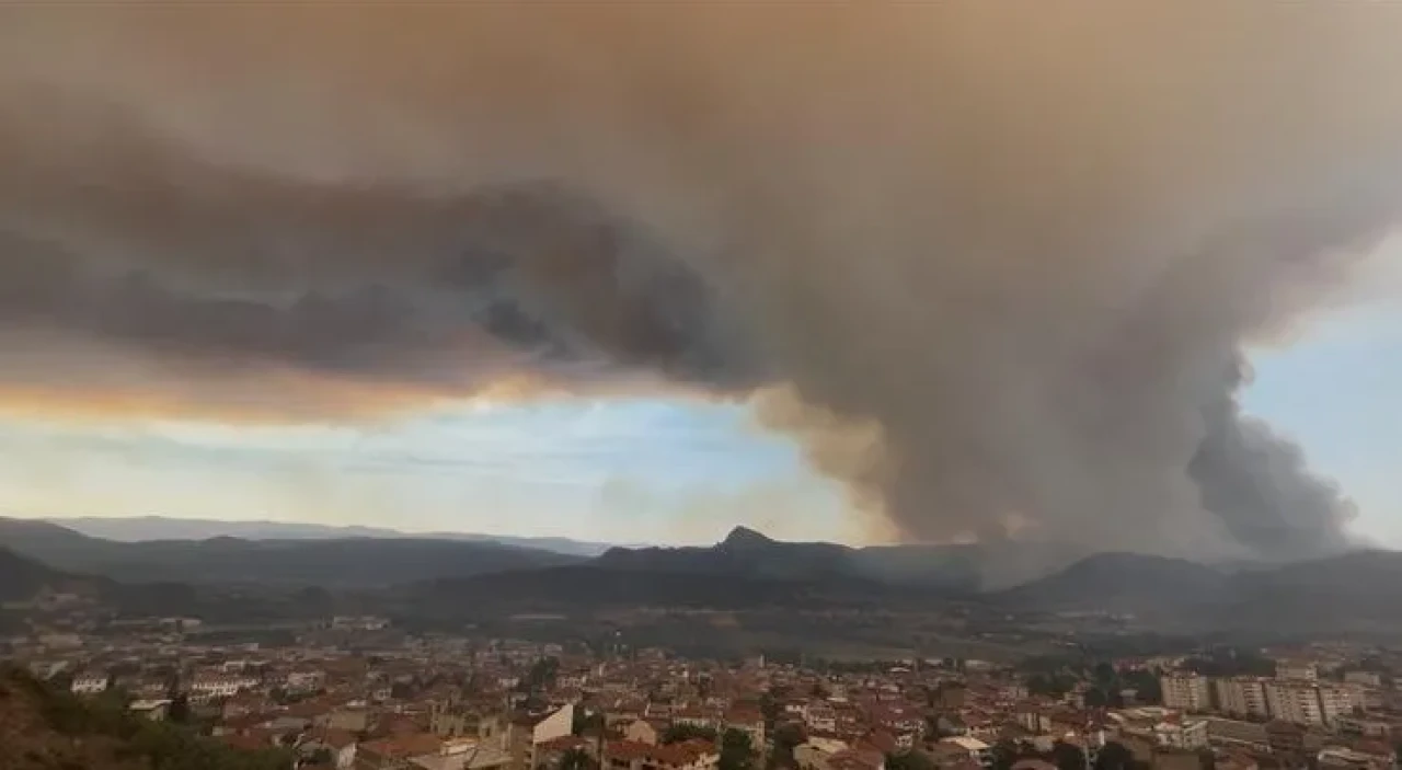 Bilecik’teki Orman Yangınında Son Durum