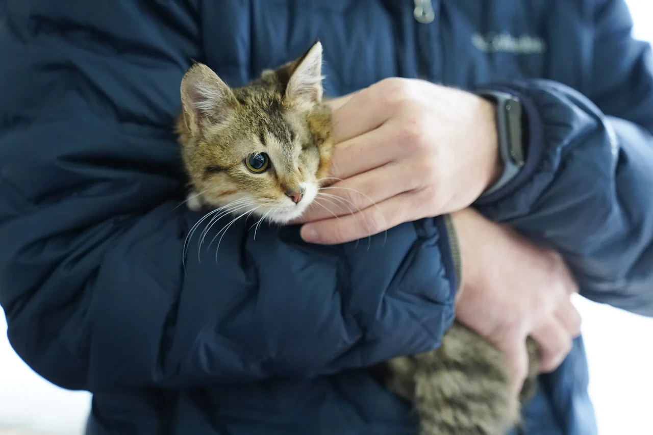 Tepebaşı’nda Binlerce Can Dost Sahiplendirildi