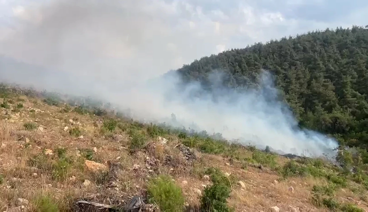 Bilecik’te Aynı Noktada 15 Gün İçinde İkinci Yangın Çıktı