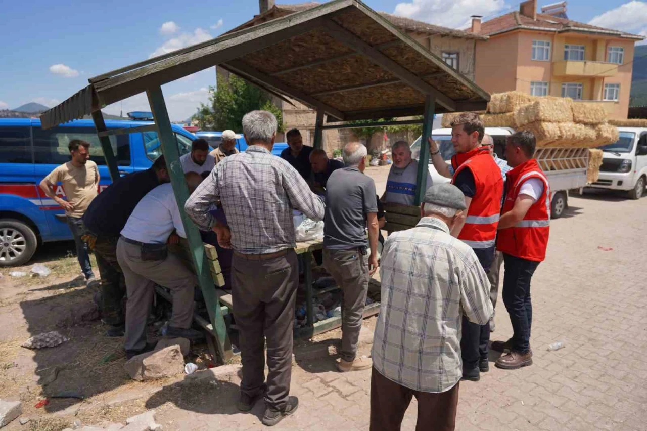 Gölpazarı’nda Yangın Nöbeti: Soğutma Bitene Kadar Sahadalar