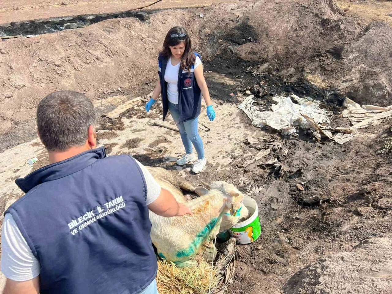 Yangın Sona Erdi, Acı Bilanço Ortaya Çıktı