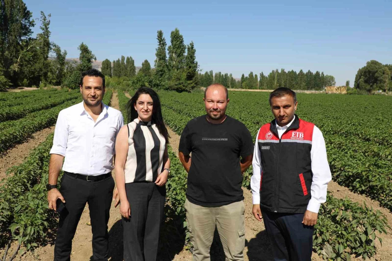 Eskişehir'de Hümik Asit Uygulamalarıyla Tarımda Verimlilik Artışı Sağlandı