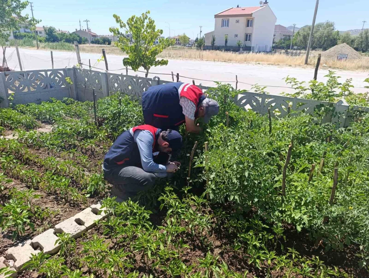 Küçük Ölçekli Üreticilere Destek Sağlayan Yeni Projeler Hayata Geçiyor!