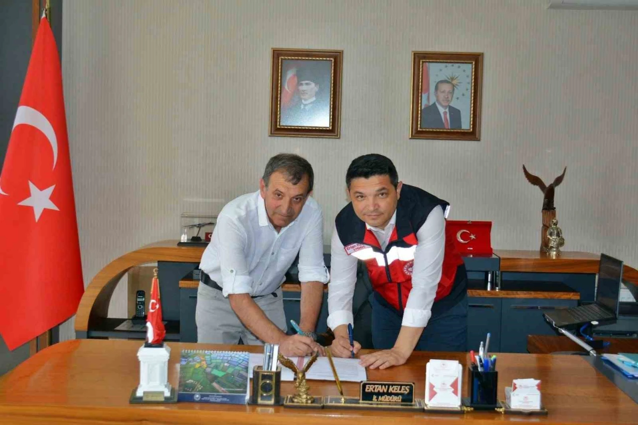 Kütahya'da Manda Islah Projesi: Ücretsiz Suni Tohumlama ve Destek Sunulacak
