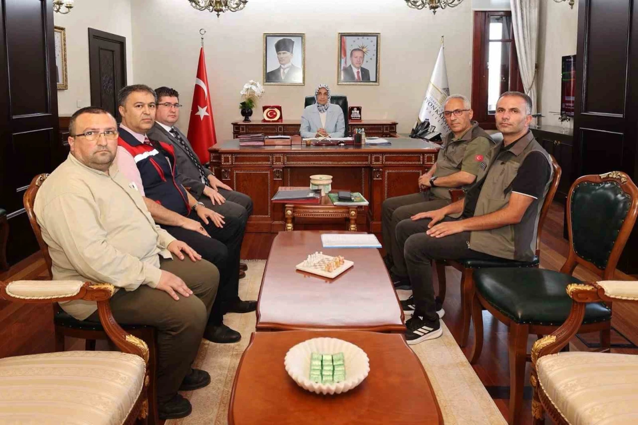 Sokak Hayvanlarının için Dayanışma Toplantısı Düzenlendi