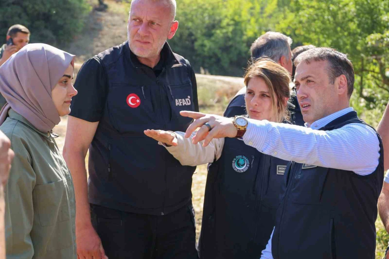 Gölpazarı ve Osmaneli’nde Konteyner Alanları Hızla Kuruluyor