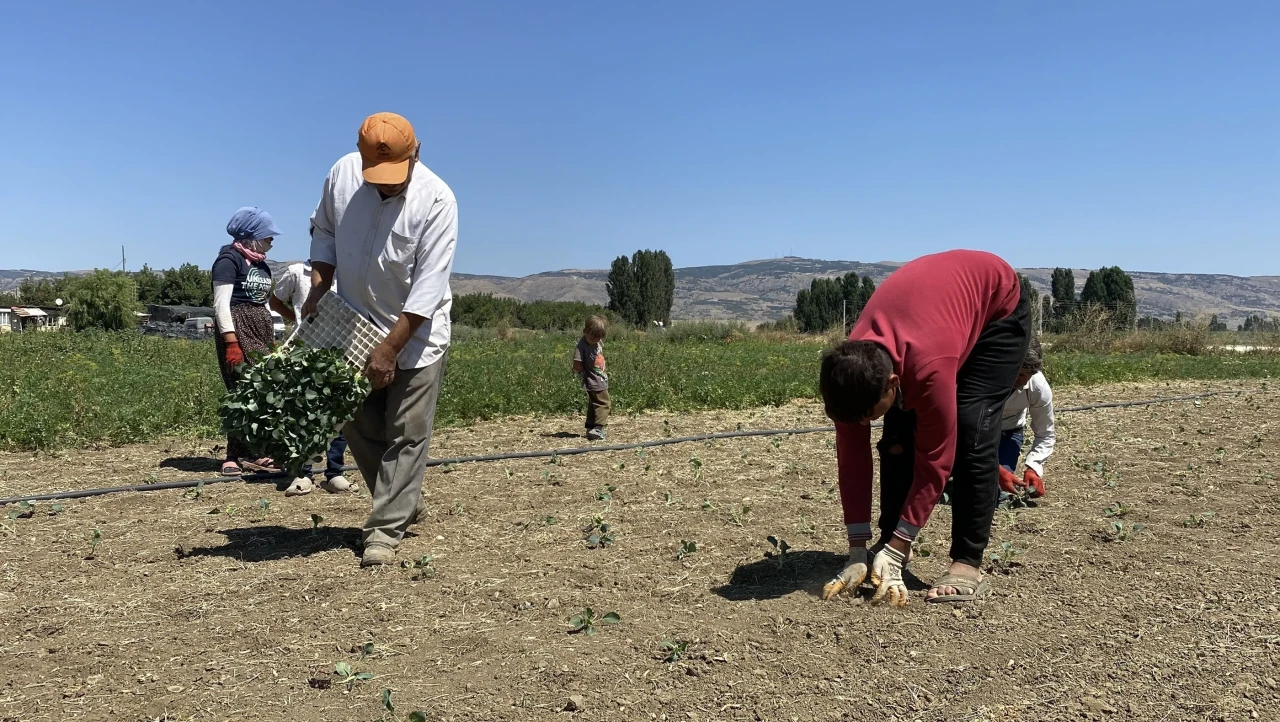 Eskişehirli Çiftçiler Kuraklıkla Mücadele Ediyor