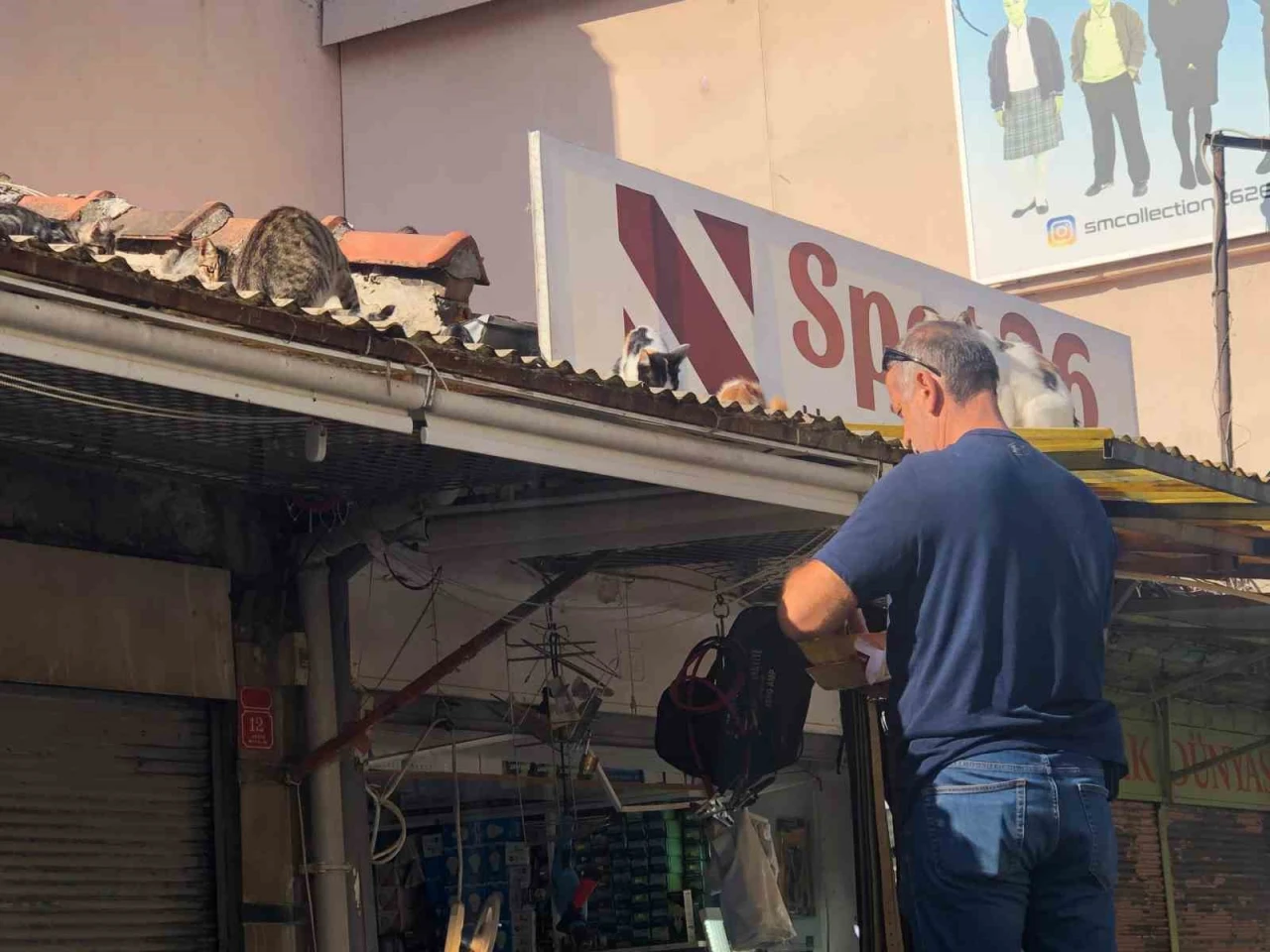 Esnaf, Kedileri Beslemek İçin Her Gün Çatıya Tırmanıyor