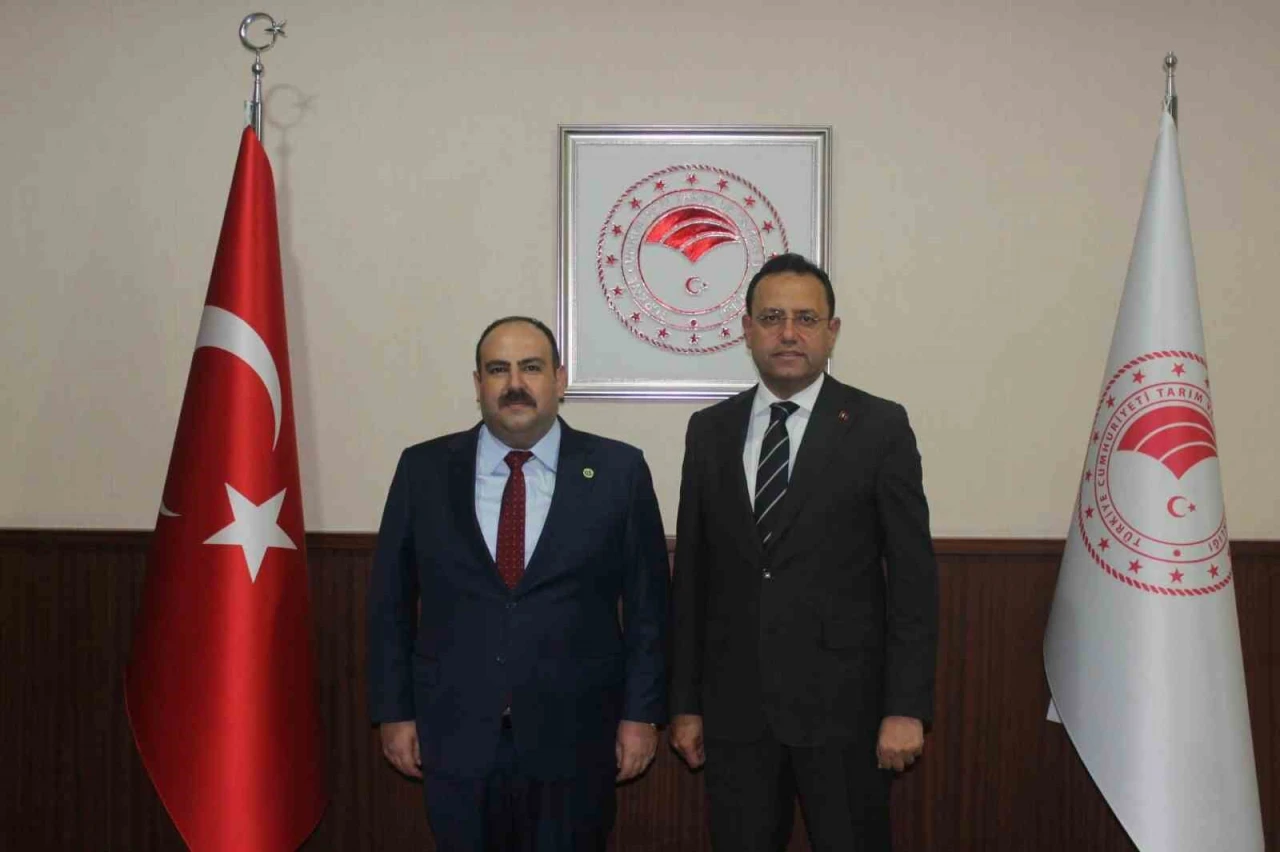 İnönü Belediye Başkanı Hamamcı’dan Ankara Çıkarması