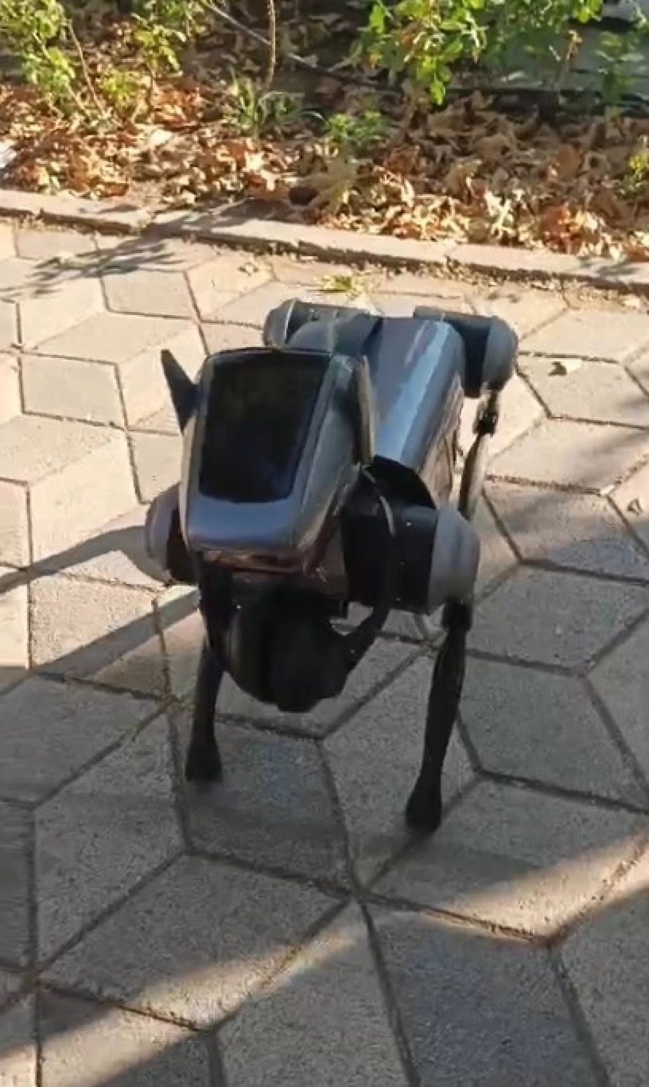 Eskişehir Sokaklarında Robot Köpek Sürprizi: Vatandaşların İlgi Odağı Oldu