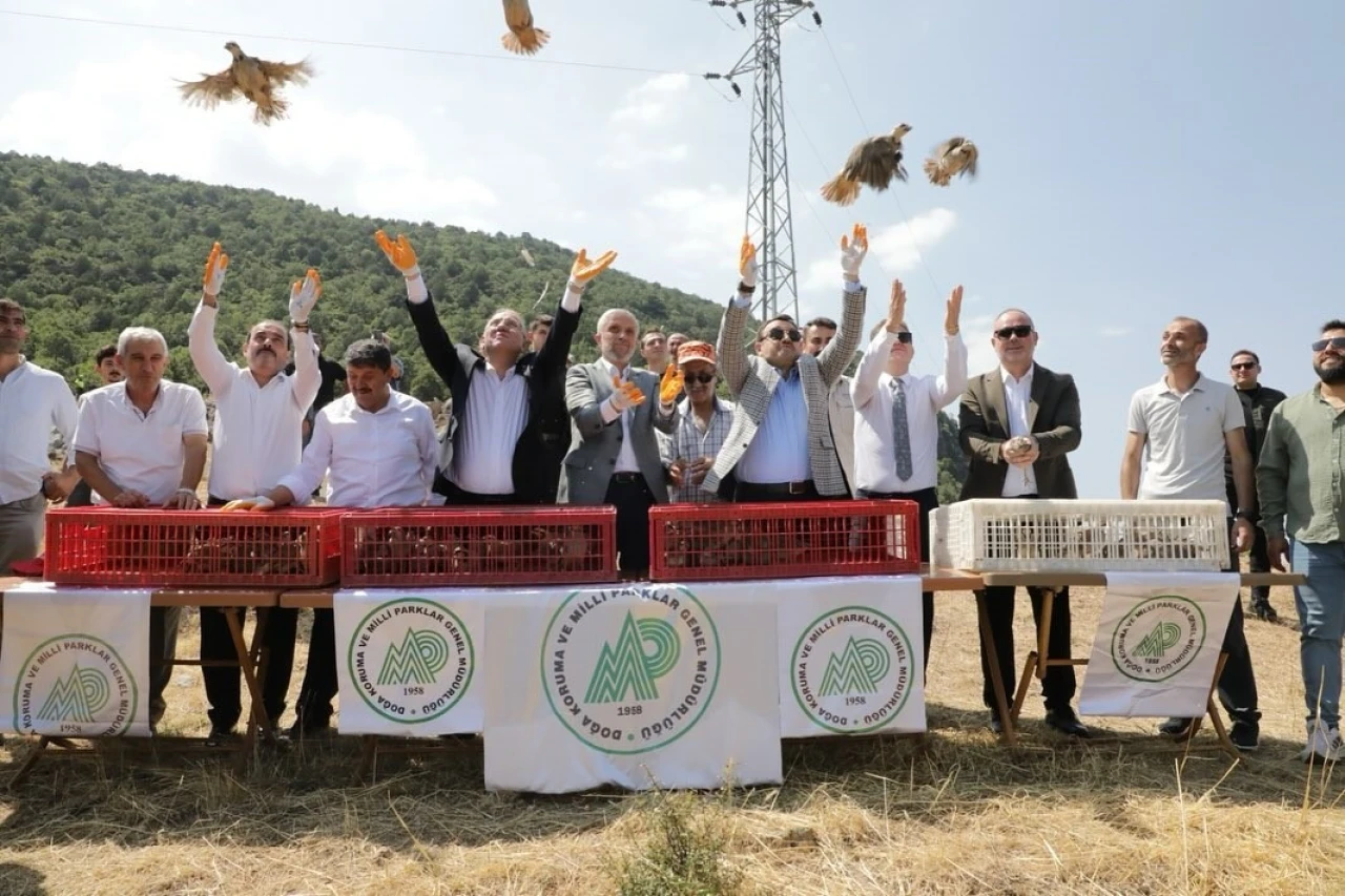 Kütahya Simav’da Doğaya 300 Keklik Salındı