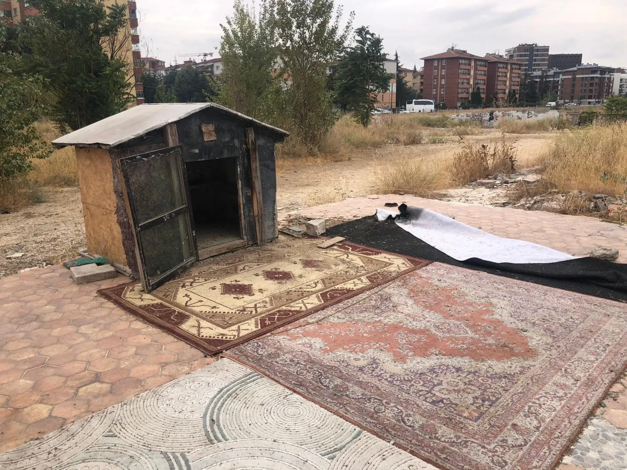 Eskişehir’de Yaşlı Adamın Kuş Kafesi Boş Kaldı