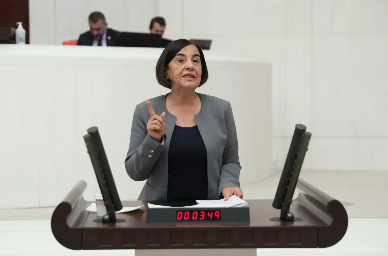 CHP’li Süllü’den Beylikova’daki nadir toprak elementleri için TBMM’ye soru önergesi verdi