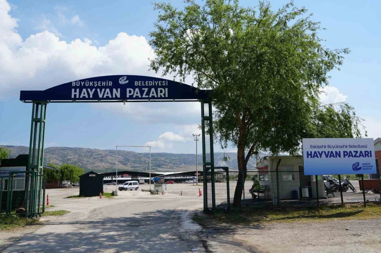 Eskişehir Büyükşehir Hayvan Pazarı Şap Hastalığı Nedeniyle Kapatıldı