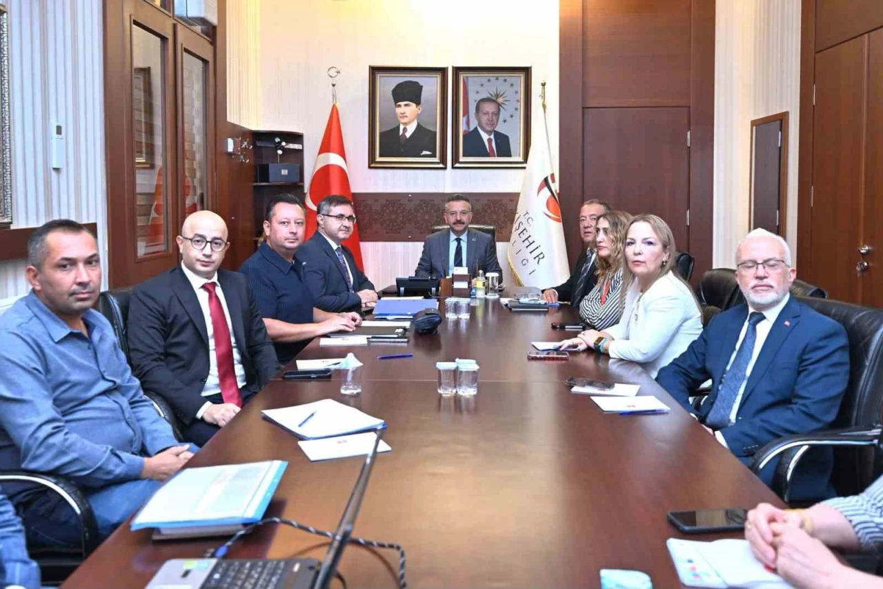 Sokak Hayvanları İçin Yeni Barınak ve Yaşam Alanları Yapılacak