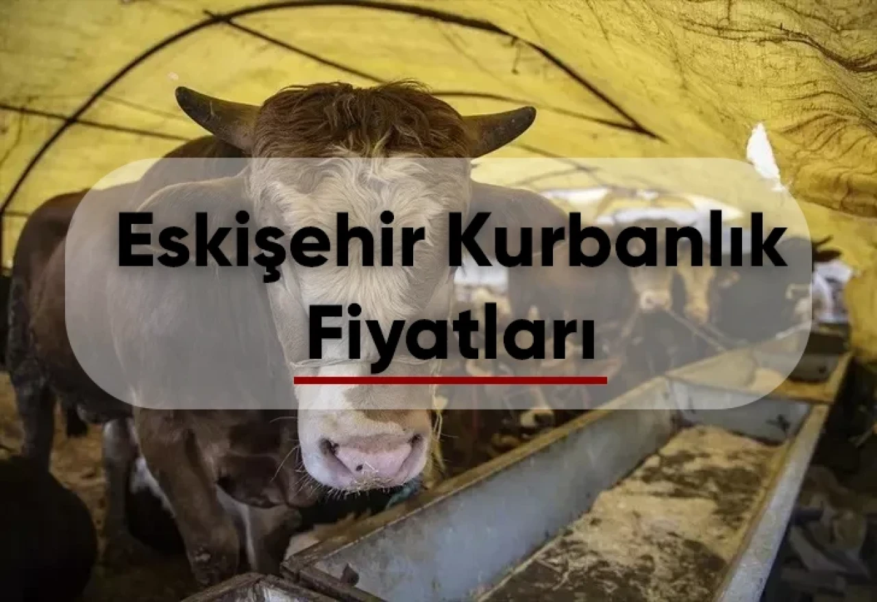 2024 Kurbanlık Fiyatları: Büyükbaş ve Küçükbaş Kurbanlıklar Ne Kadar?