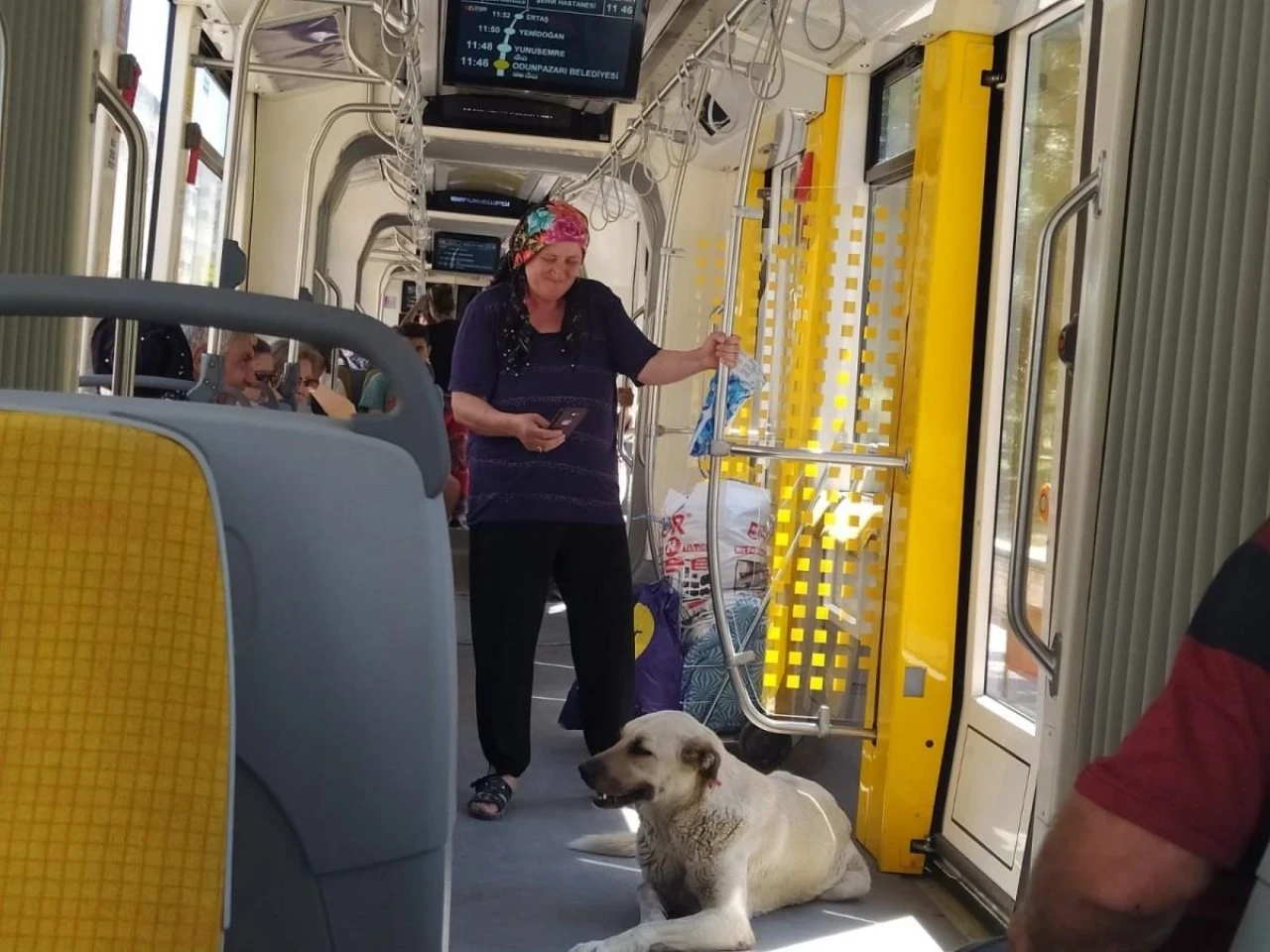 Eskişehir’de Sıcaktan Bunalan Köpek Tramvayda Serinledi