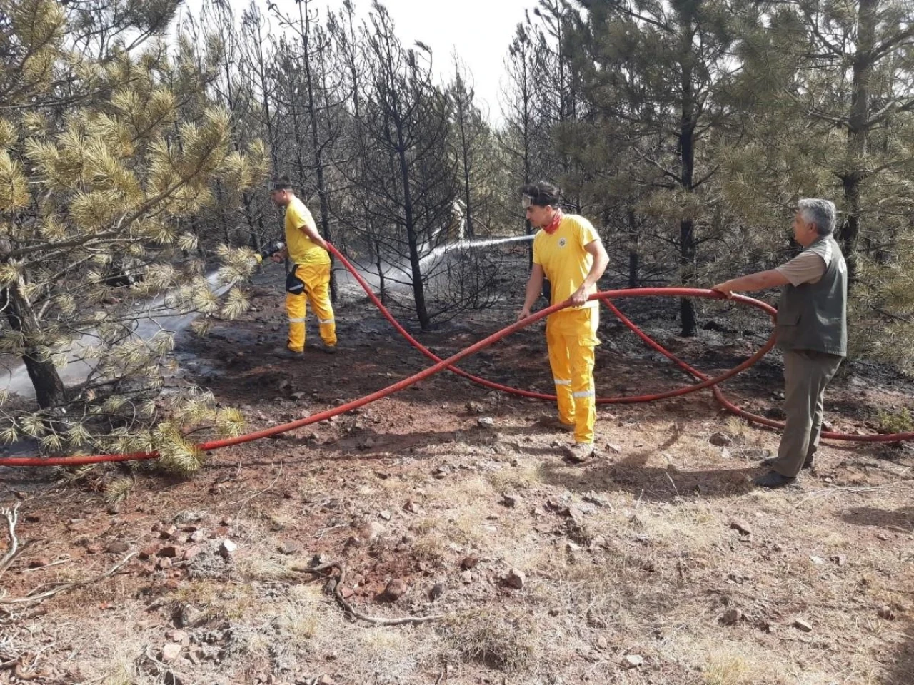 Eskişehir&#8217;de Orman Yangını Çok Büyümeden Söndürüldü