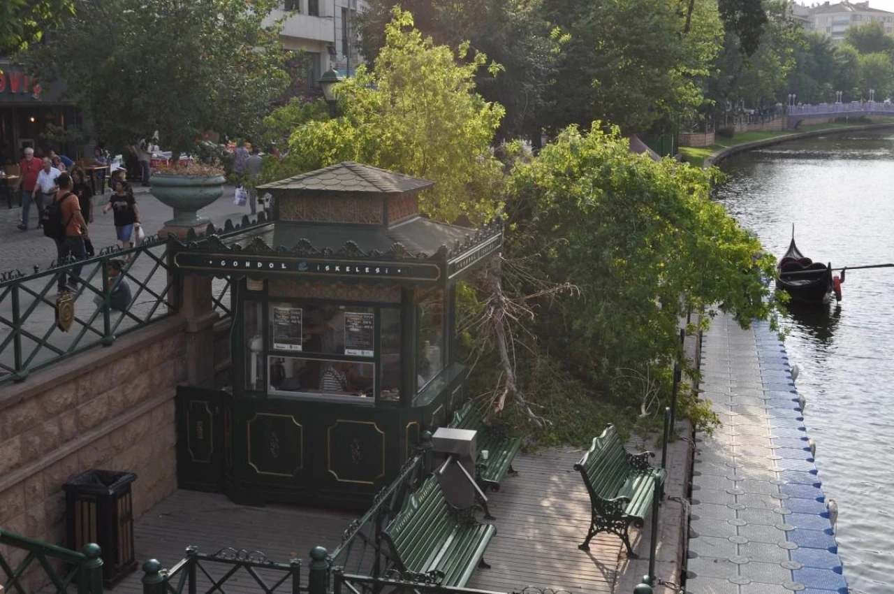 Eskişehir&#8217;de Rüzgar ile Ağaçlar Devrildi